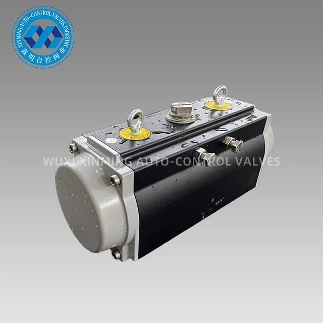 Black Oxidation Pneumatic Actuator