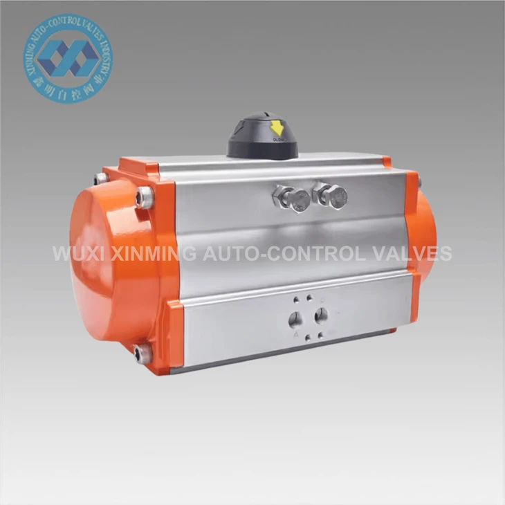 Pneumatic Air Actuator
